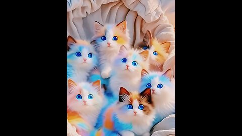 cat's children 😻#petvideos #prediction #funnyanimals #california #foryou #kidsvideo #childrenvideos