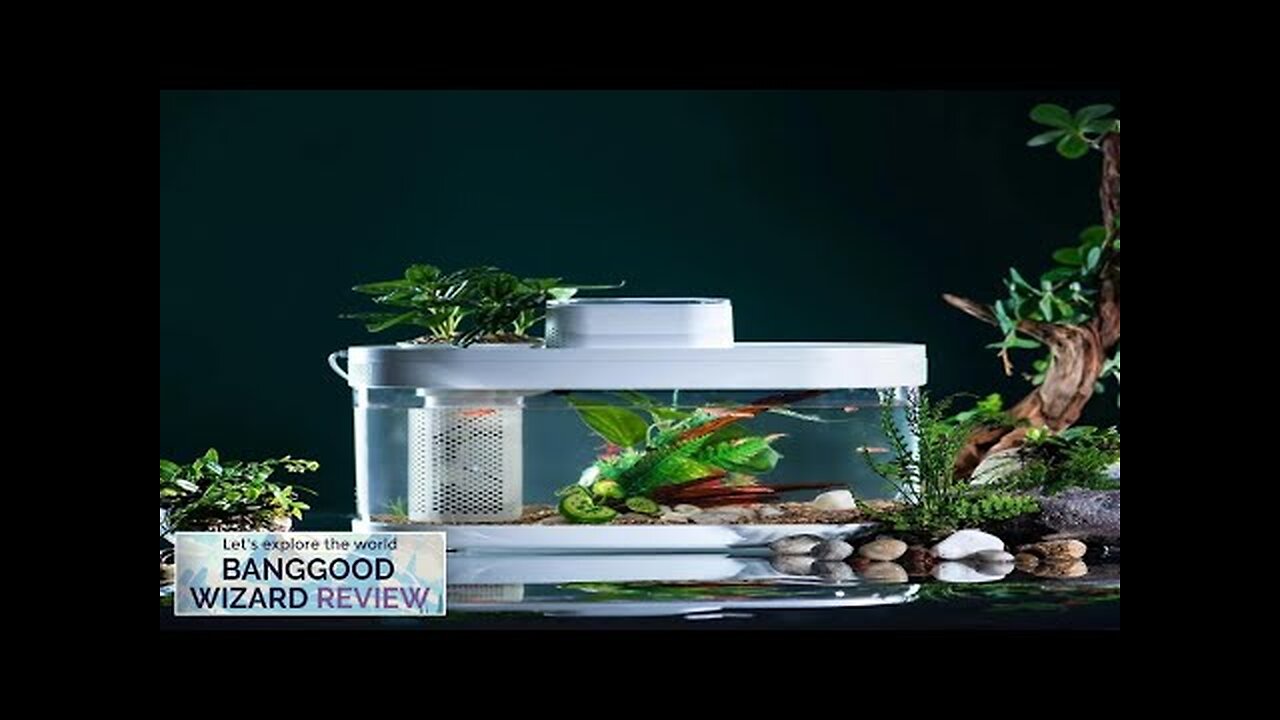 Descriptive Geometry DESGEO C180 9L Aquarium Pro Smart Feeder 7 Colors LED Review