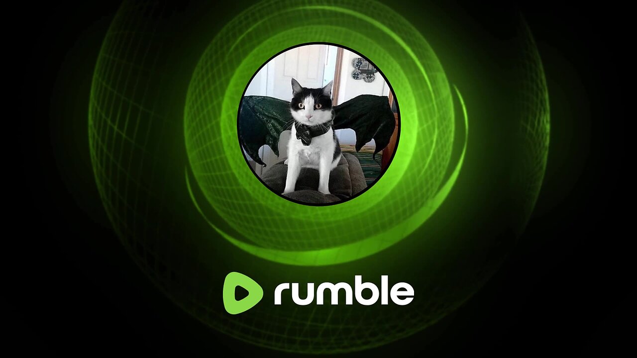 Canucks vs Kittens: Revenge of the Tariffs