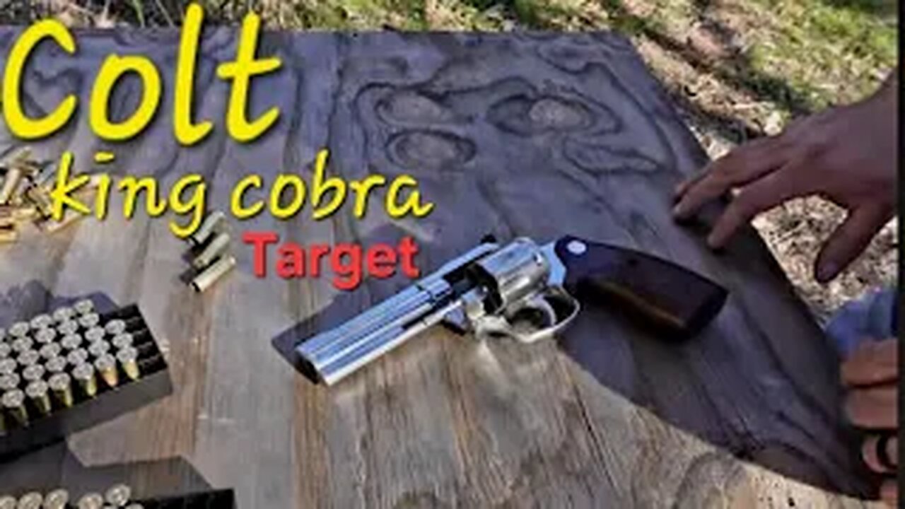 Colt king cobra Target