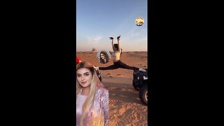 Dubai Princess Sheikha Mahra LifeStyle#dubaiprincess#shorts