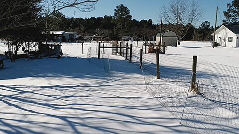 Historic South Alabama Snow Storm