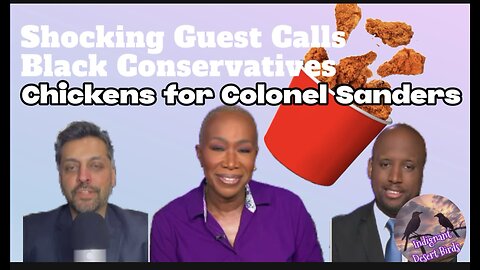 Chickens for Colonel Sanders MSNBC guest Calls Black Conservatives Byron Donalds and Kash Patel