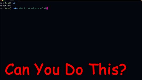 Can Your Terminal Do This?