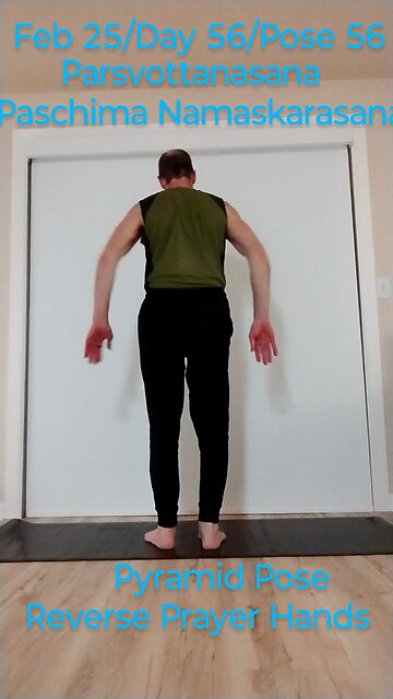 Pyramid with Reverse Prayer Hands Yoga Pose