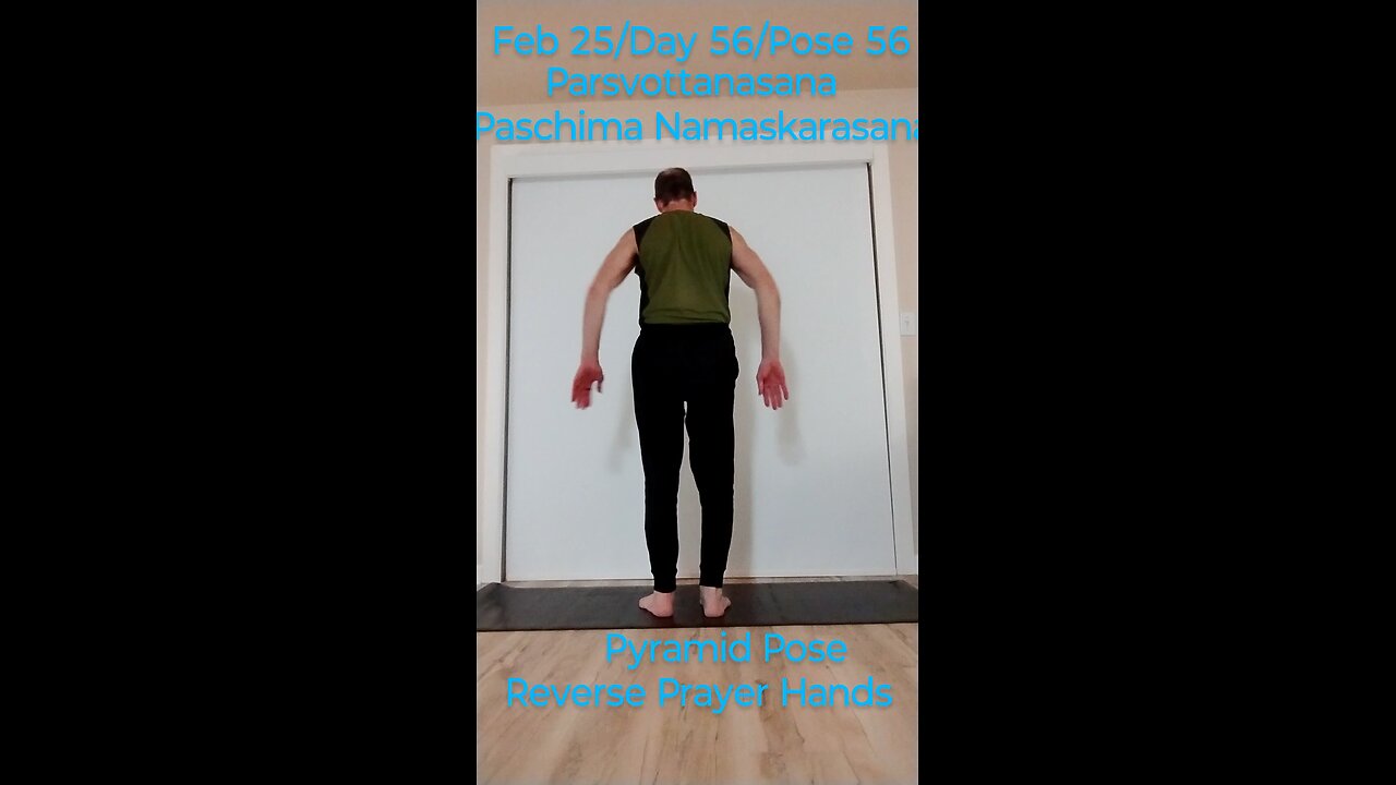 Pyramid with Reverse Prayer Hands Yoga Pose