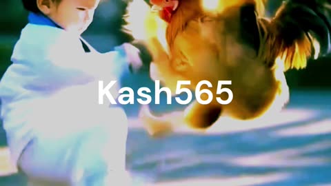 Boy Is Fighting with hens
