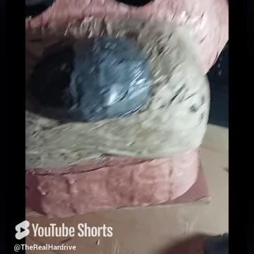 My real Freddy Fazbear animatronic!