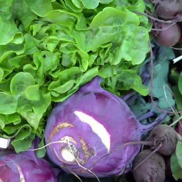 beetroot nutrient facts #shorts #vegetables #gardening