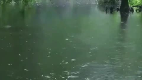 The beautiful little river is raining