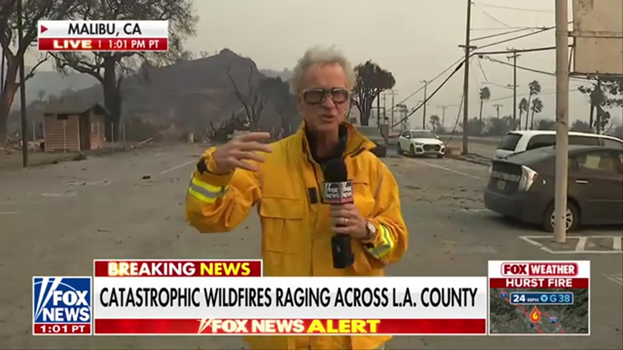 Palisades fire most destructive in Los Angeles history: Report