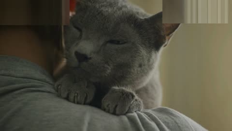 NATIONAL LOVE YOUR PET DAY: "Pawsitively Purrfect Celebrating National Love Your Pet Day