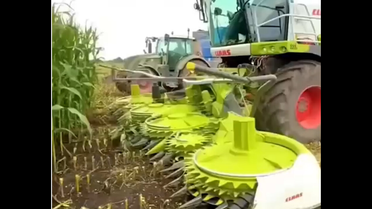 Masters in their work