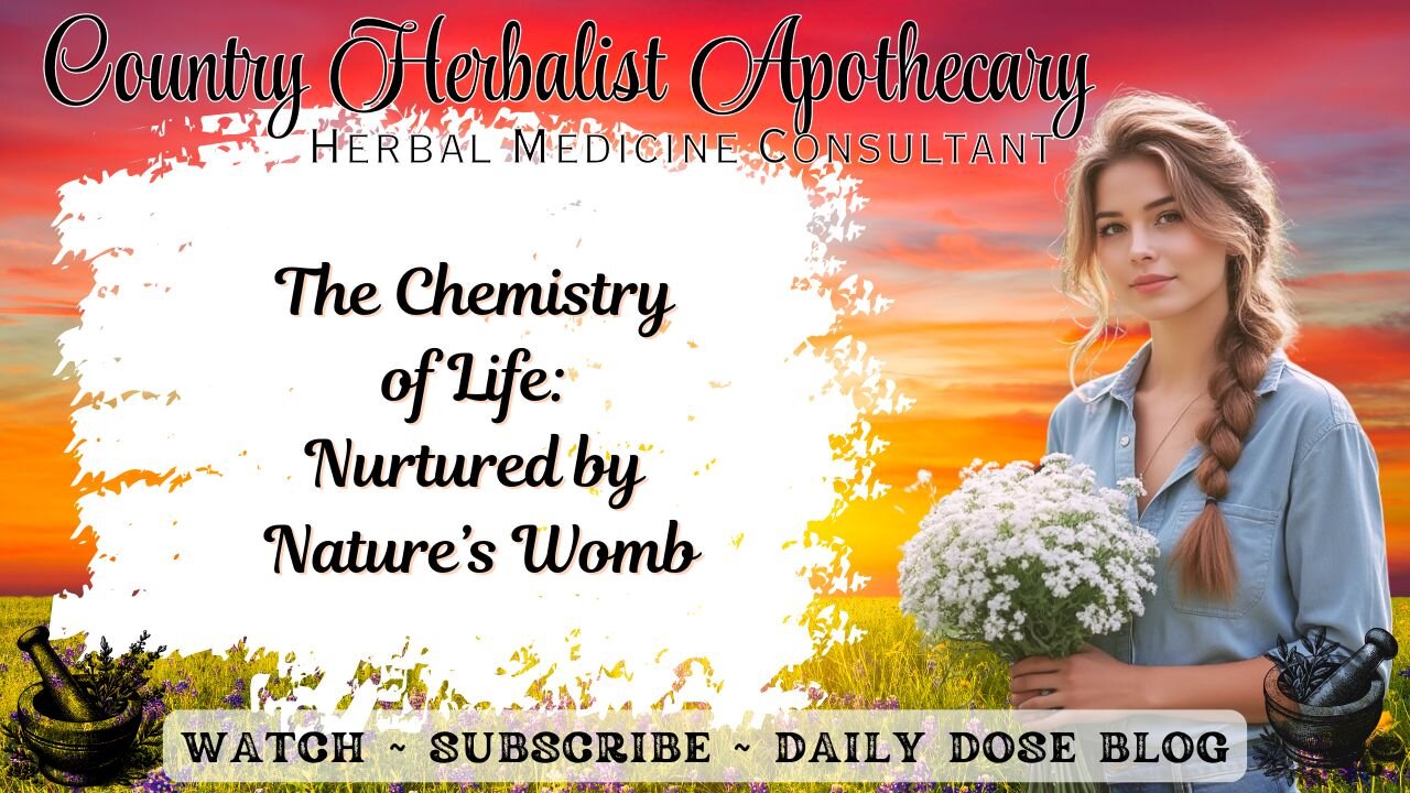 The Chemistry of Life: Nurtured by Nature’s Womb