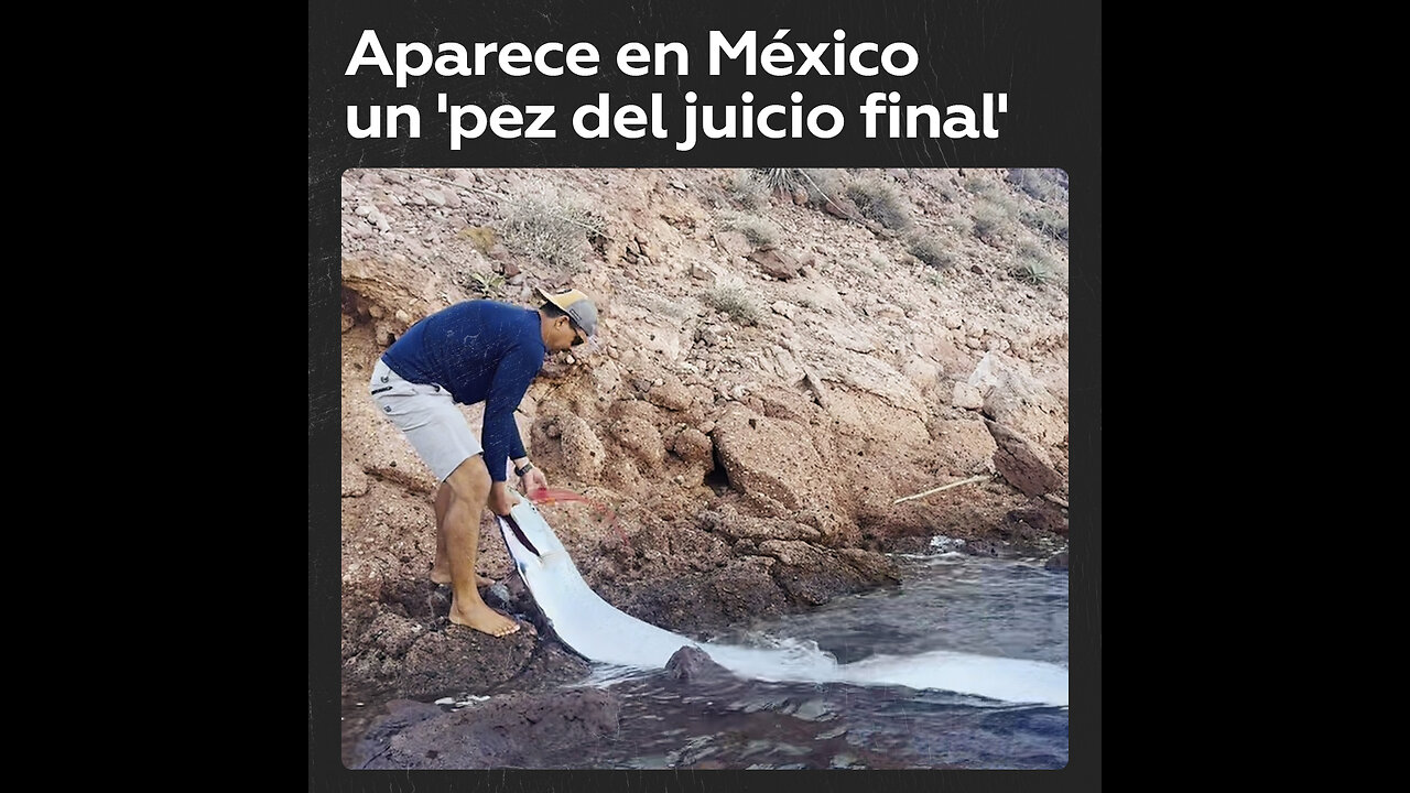 🐟😰Pareja rescata un 'pez del juicio final' en México