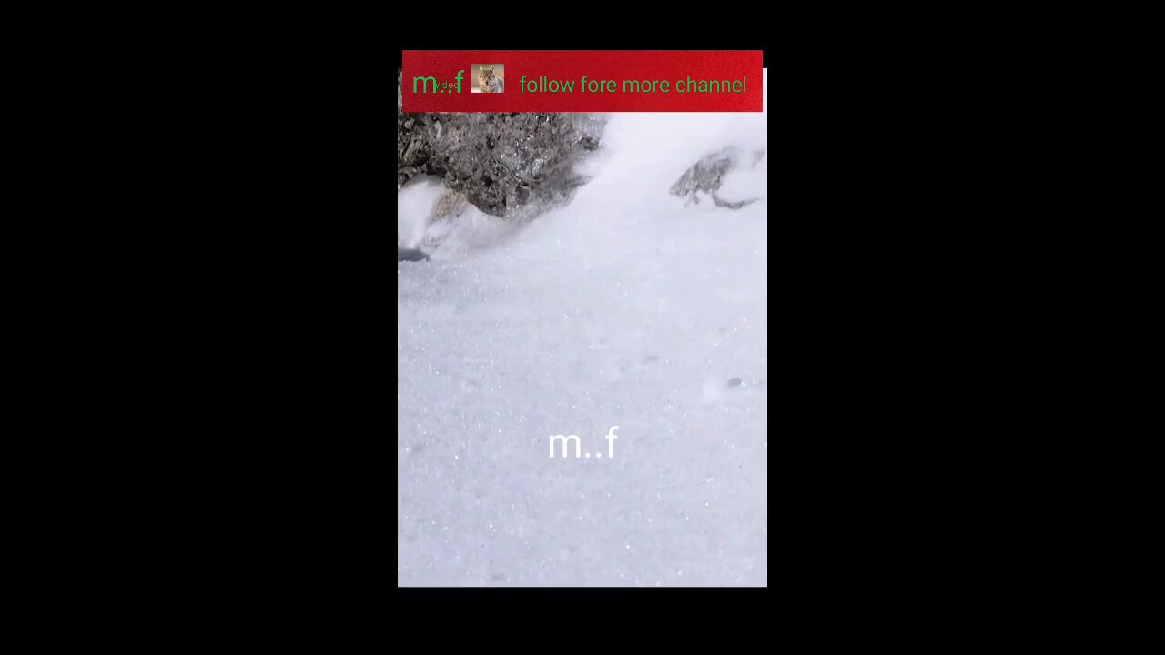 like comment and share video