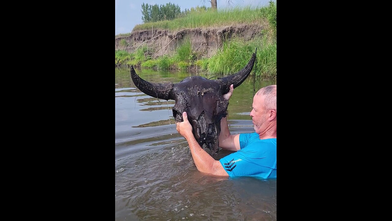 My buddy Joe pulling a monster sized old bison skull out of a river channel.