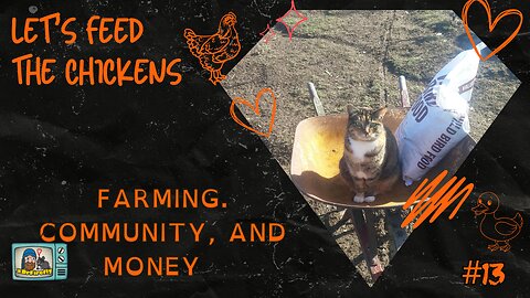 Farming. Community, and Money | Let's Feed the Chickens | E13