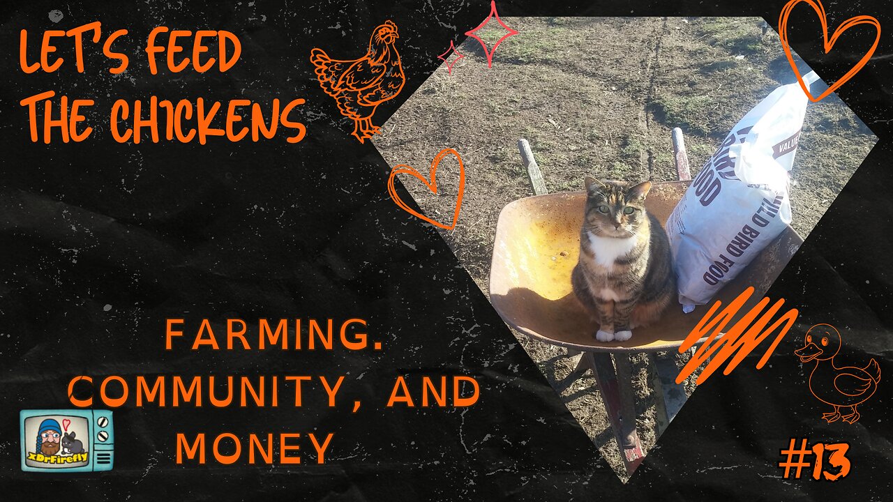 Farming. Community, and Money | Let's Feed the Chickens | E13