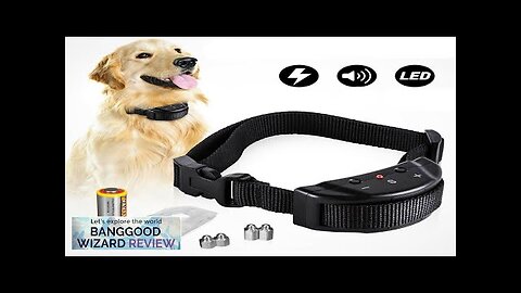 Anti Bark No Barking Remote Electric Shock Vibration Dog Pet Training Collar Review