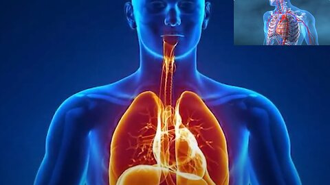 1 Citrus Juice in the Morning: Detoxifies the Liver and Supports Heart| Dr. Mandell