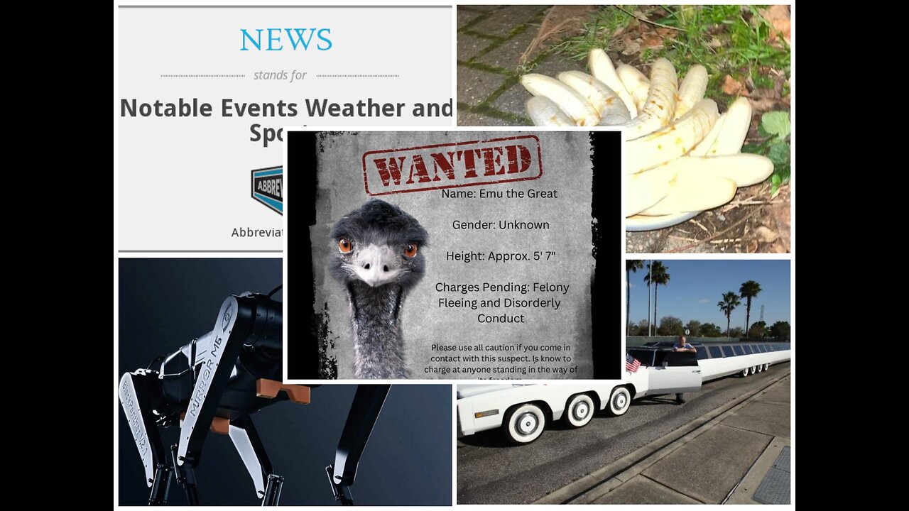 WEIRD WEEKLY RECAP - Better Beaver Bureau, Birthday Jail, Felonious Emu and MORE! 02/14/2025