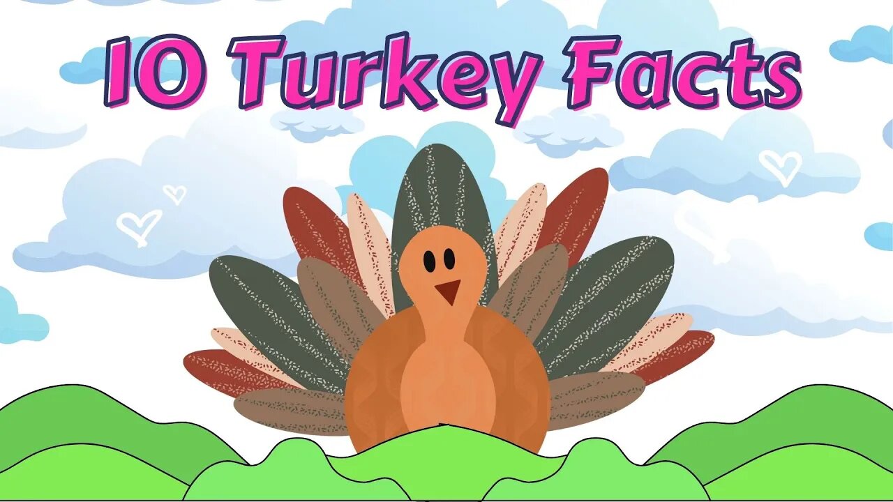 10 Turkey Facts for Kids