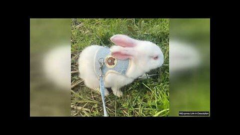 Newest Cute Rabbit Harness and Leash Set Bunny Pet Accessories Vest Harnesses Review