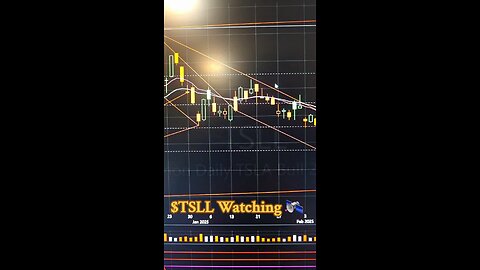 $TSLL🛰