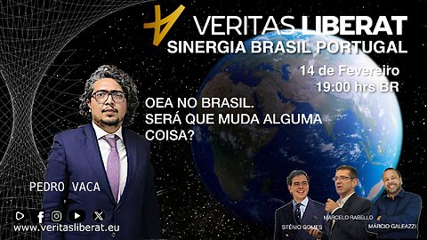 SINERGIA BRASIL PORTUGAL - 14/02/2025 - OEA NO BRASIL. SERÁ QUE MUDA ALGUMA COISA?