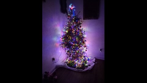 THE MOST BEAUTIFUL TREE I'VE EVER SEEN