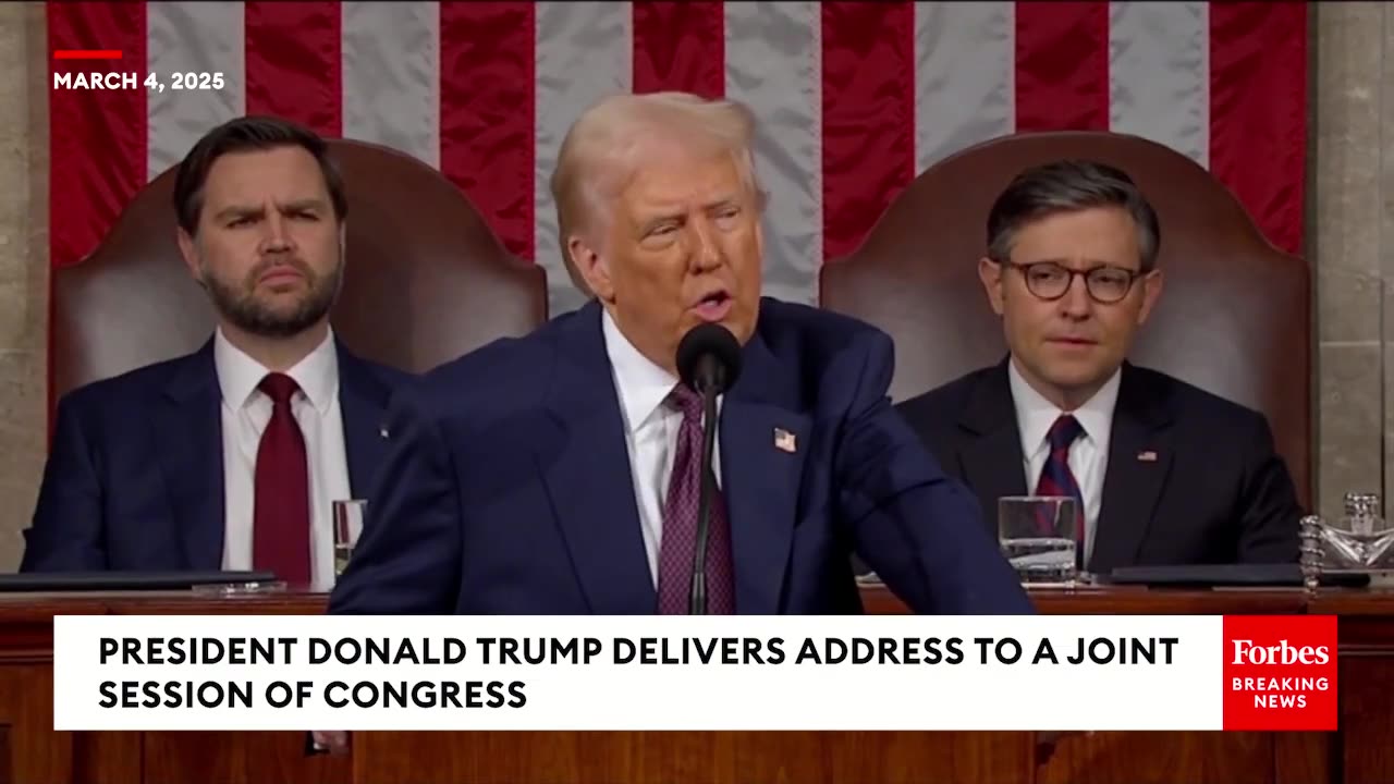 WATCH: Elizabeth Warren Reacts After Trump Lobs 'Pocahontas' Attack On Her During Speech To Congress