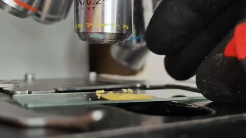 Will you continue to eat Pringles after seeing them magnified 1000x under the microscope?