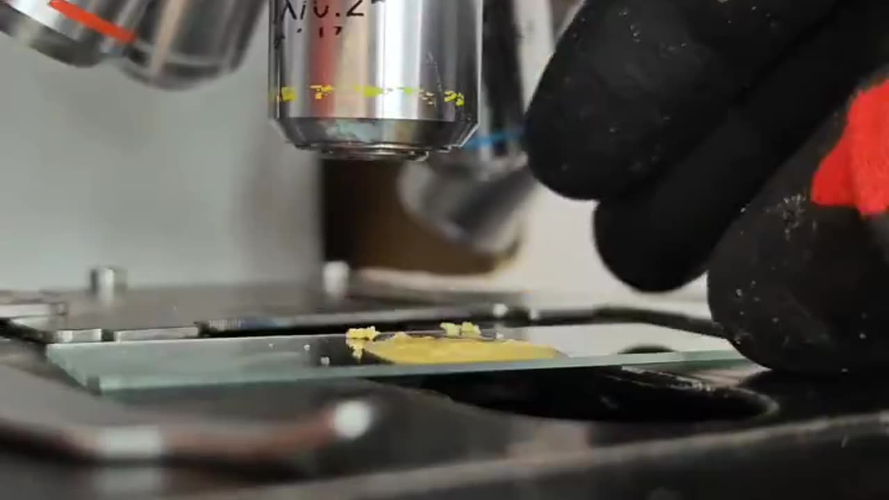 Will you continue to eat Pringles after seeing them magnified 1000x under the microscope?