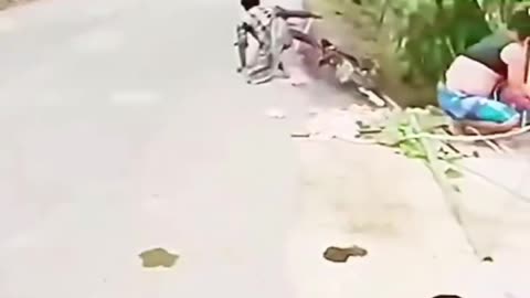 Funny video