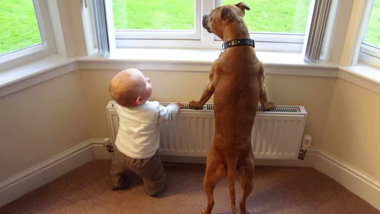 No Babysitter, No Problem