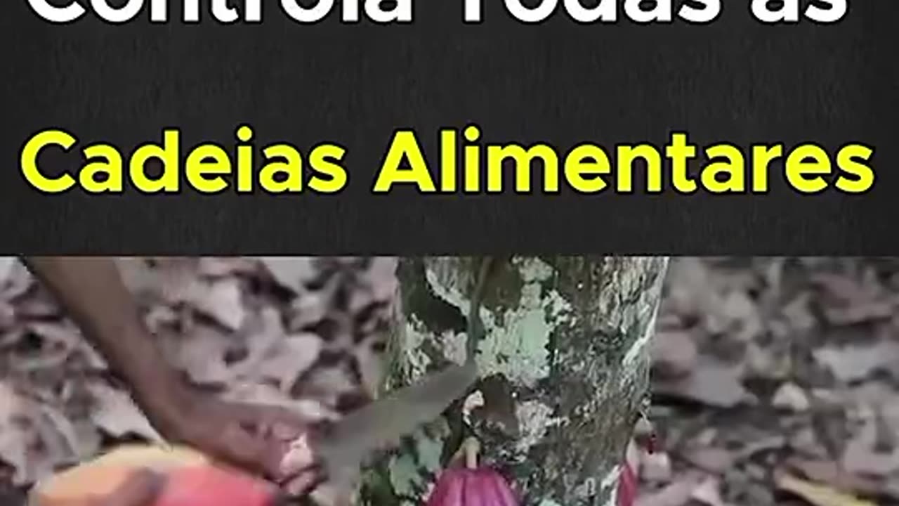 EMPRESAS DE COMIDAS O DOMINIO