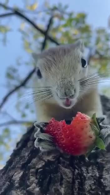 Brighten your day 😊