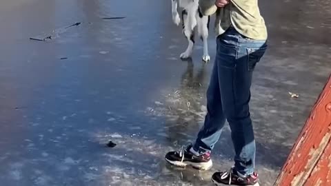 Funny Moment #shorts #viralshorts 