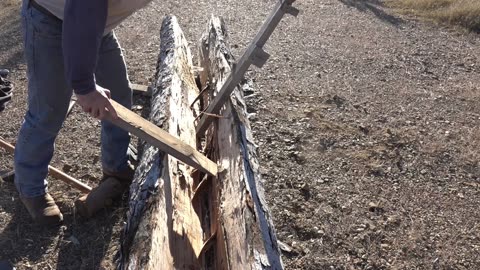 Axe Spitting A White Oak Log