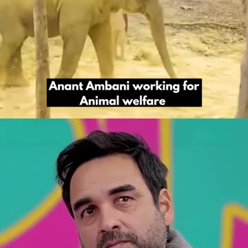 Anant Ambani’s love for animals knows no bounds #VantaraFoundation #anantdadadt #anantambanidt
