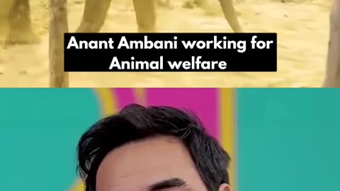 Anant Ambani’s love for animals knows no bounds #VantaraFoundation #anantdadadt #anantambanidt