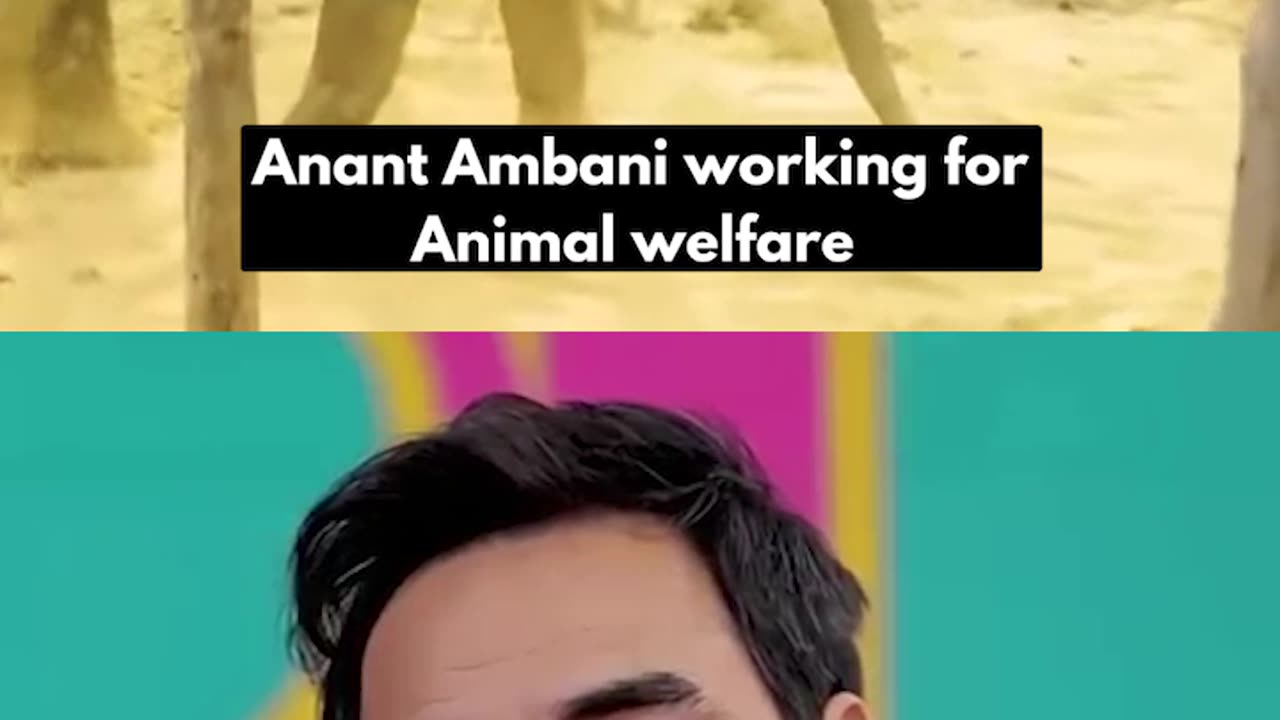 Anant Ambani’s love for animals knows no bounds #VantaraFoundation #anantdadadt #anantambanidt