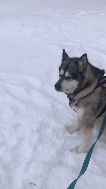 Monday January 13, He has showered kindness on us.