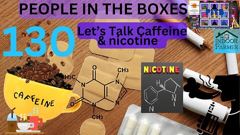 People In The Boxes ep 130, Let's Talk Caffeine & Nicotine, Are They Useful Or Just Bad?