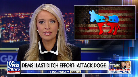 Kayleigh McEnany: Will Attacking DOGE Actually Work For Democrats?