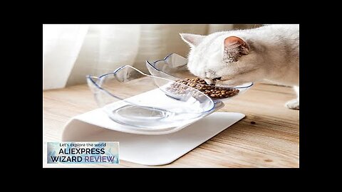 Non-Slip Double Cat Bowl Dog Bowl With Stand Pet Feeding Cat Water Review