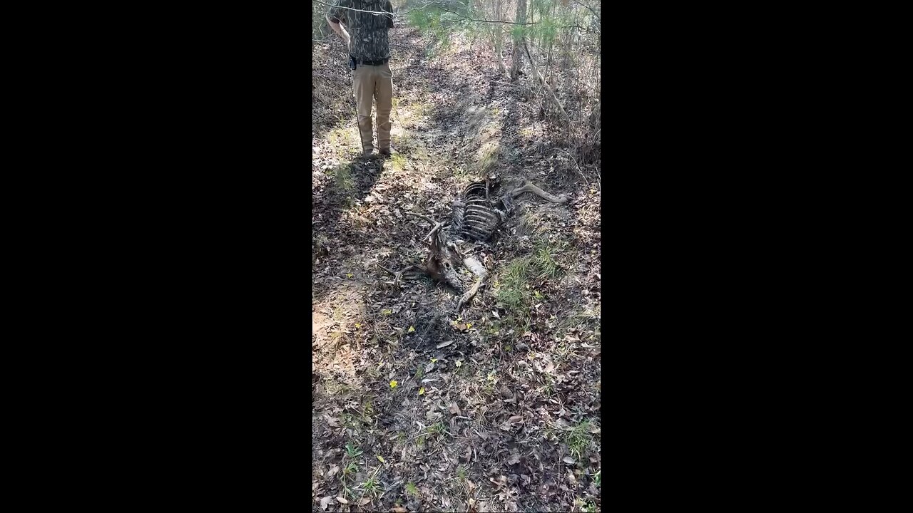 Nature is Metal