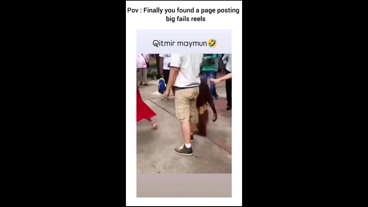 funniest video in the world
