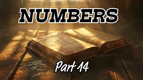 Reading the Book of Numbers: Word-for-Word, With Commentary (Part 14)